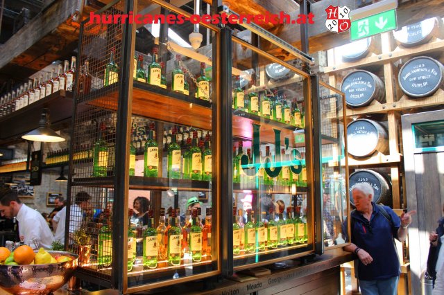 irland - oesterreich 11.6.2017 45